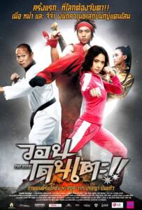 ดูหนังออนไลน์ฟรี The Kick (2011) วอนโดนเตะ