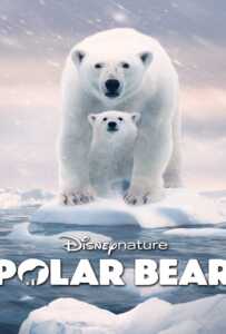 ดูหนังออนไลน์ฟรี Polar Bear (2022)