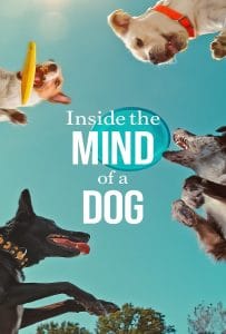 ดูหนังออนไลน์ฟรี Inside the Mind of a Dog (2024) อ่านใจสุนัข