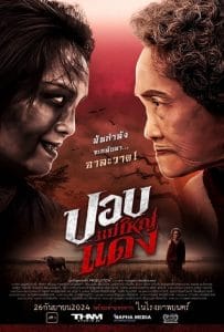 ดูหนังออนไลน์ฟรี The Haunted Granny (2024) ปอบแม่ใหญ่แดง