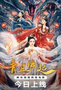 ดูหนังออนไลน์ฟรี Lost Destiny (2025) พรหมลิขิตรักชิงชิว